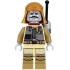 Star Wars Minifigure Pao