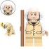 Lord of the Rings Minifigure Bilbo Baggins and Gollum