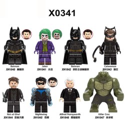 Superhero Batman, Joker, Catwoman, Nightwing, Afu Butler